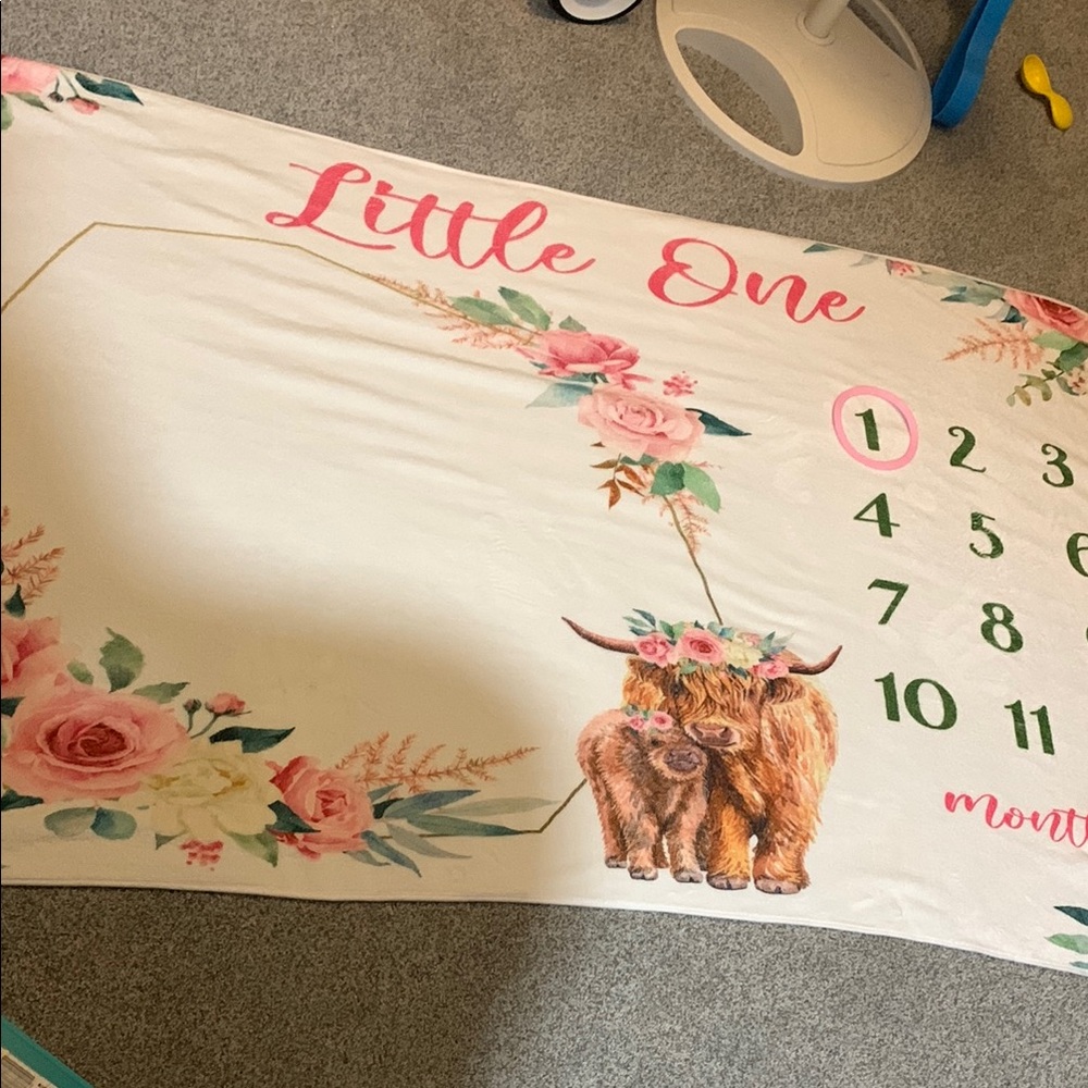 Baby Milestone Blanket